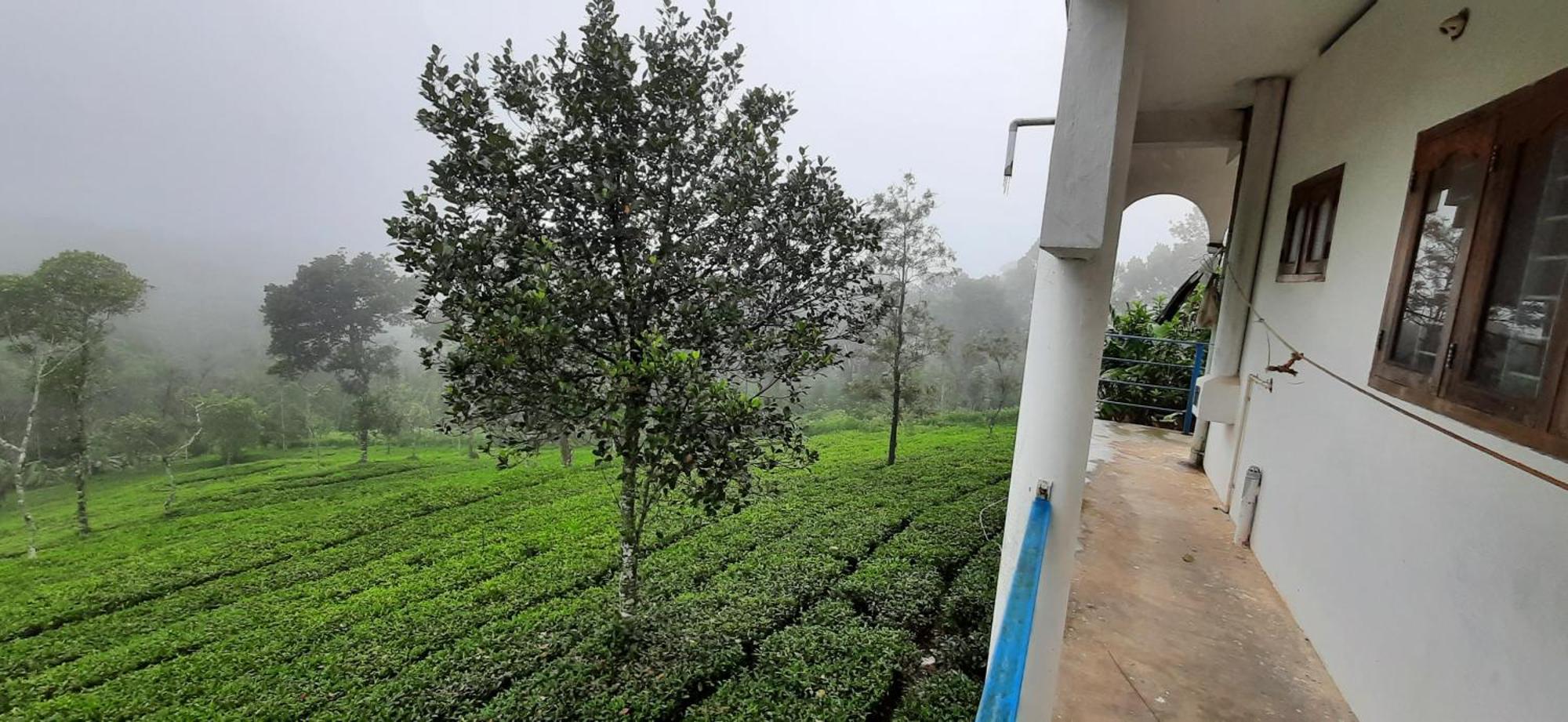 Best Mist Idukki Exterior foto