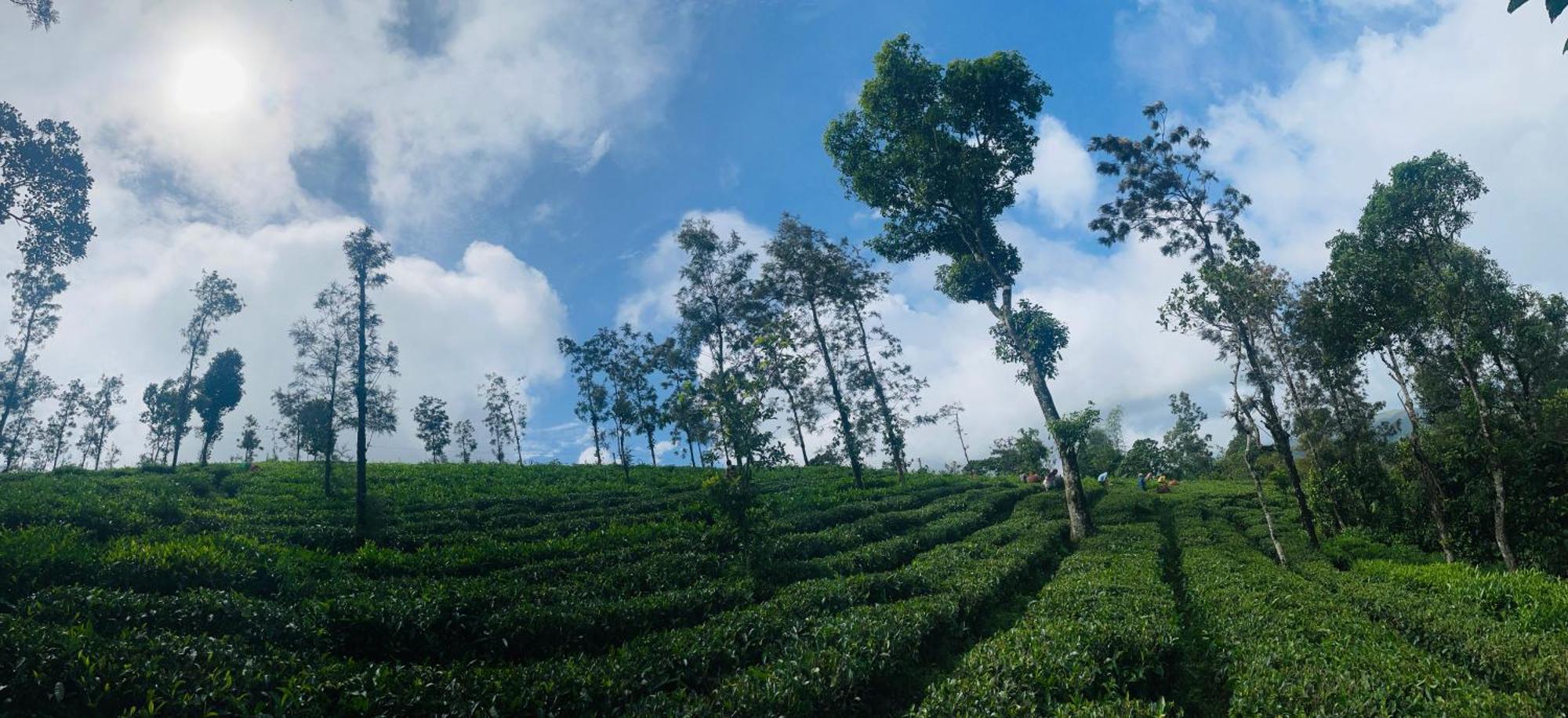 Best Mist Idukki Exterior foto