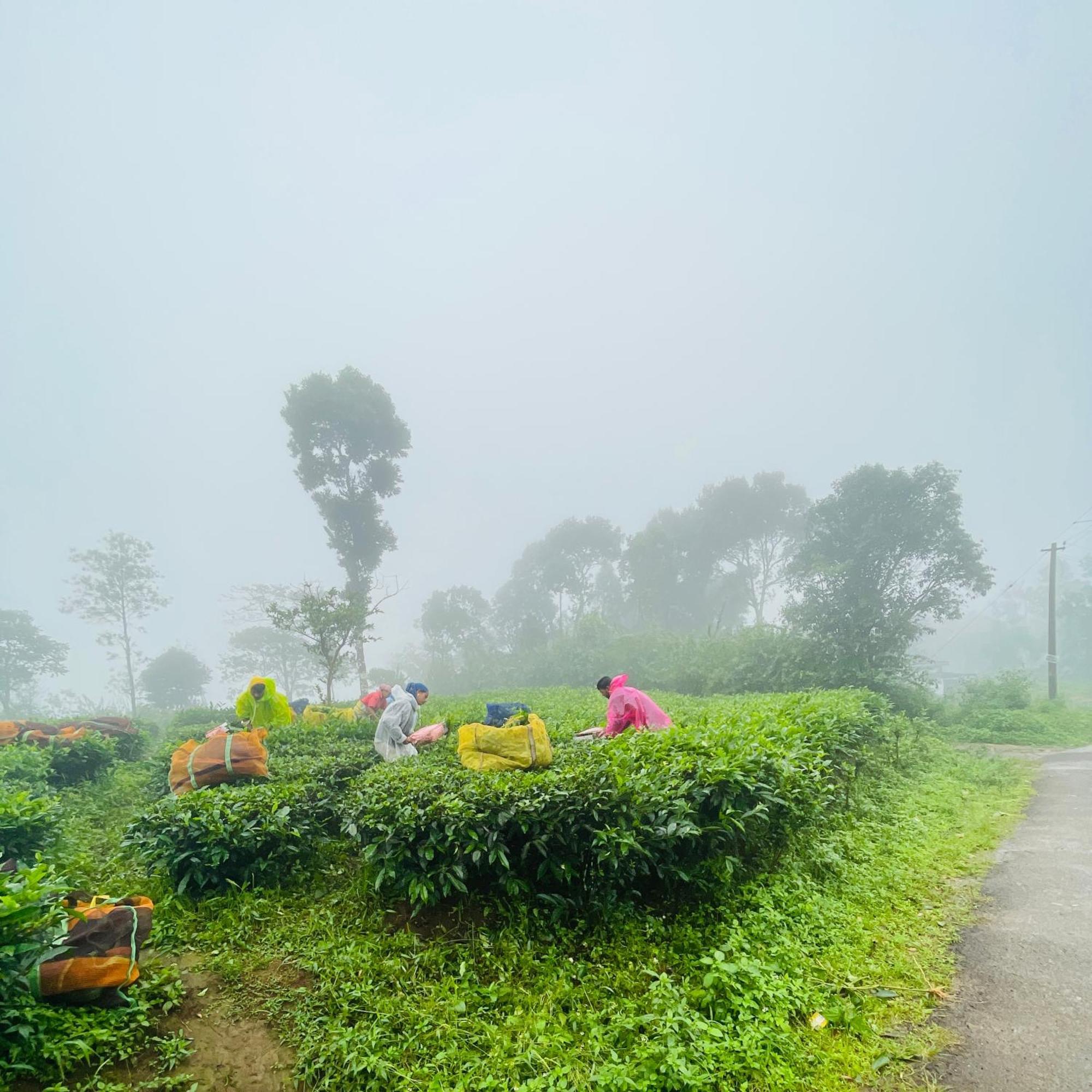 Best Mist Idukki Exterior foto