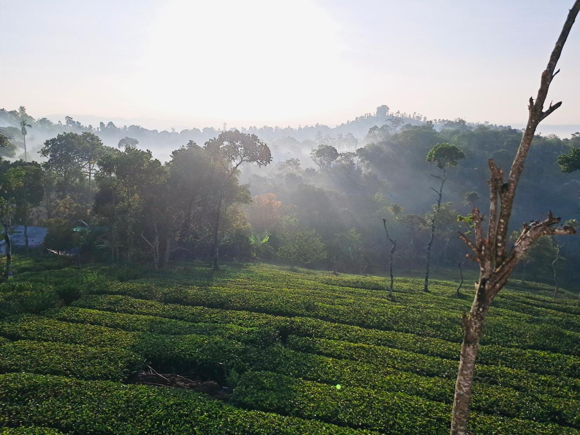 Best Mist Idukki Exterior foto